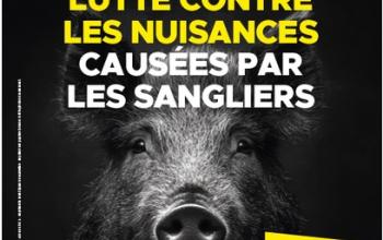 Lutte contre les nuisances des sangliers
